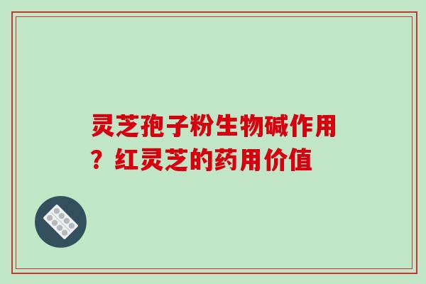 灵芝孢子粉生物碱作用？红灵芝的药用价值