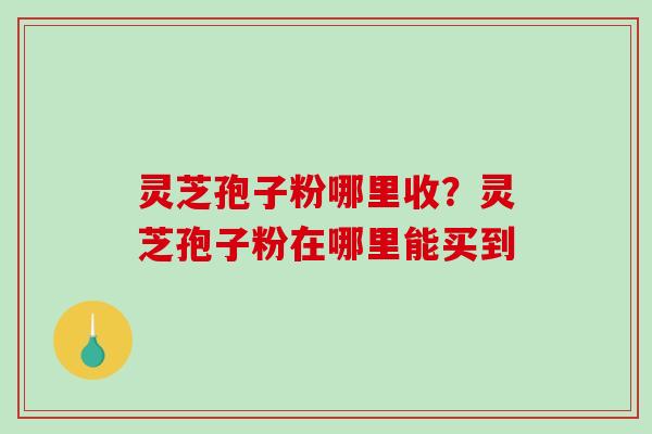 灵芝孢子粉哪里收？灵芝孢子粉在哪里能买到