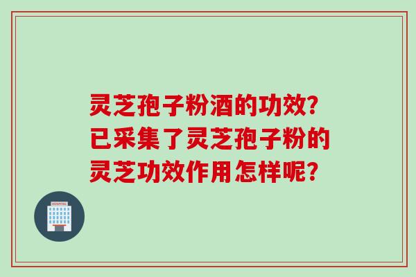 灵芝孢子粉酒的功效？已采集了灵芝孢子粉的灵芝功效作用怎样呢？