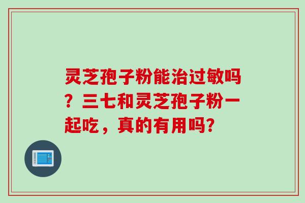 灵芝孢子粉能治过敏吗？三七和灵芝孢子粉一起吃，真的有用吗？
