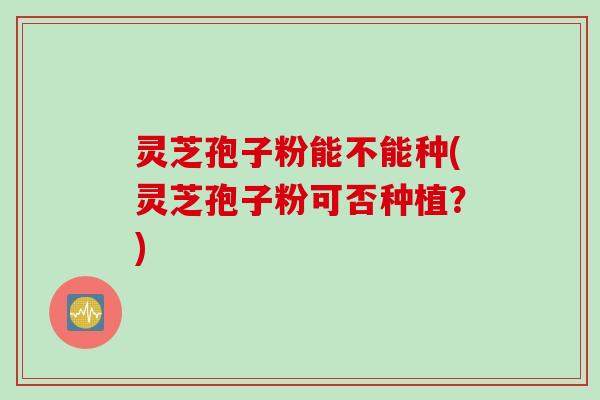 灵芝孢子粉能不能种(灵芝孢子粉可否种植？)