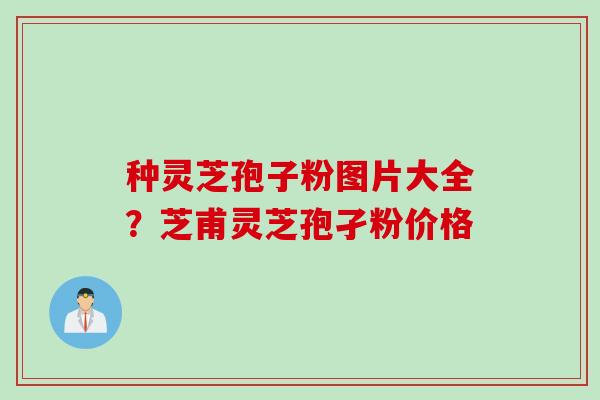 种灵芝孢子粉图片大全？芝甫灵芝孢孑粉价格