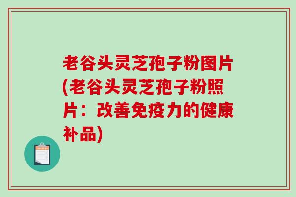 老谷头灵芝孢子粉图片(老谷头灵芝孢子粉照片：改善免疫力的健康补品)