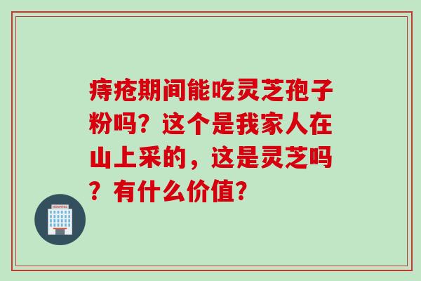 痔疮期间能吃灵芝孢子粉吗？这个是我家人在山上采的，这是灵芝吗？有什么价值？