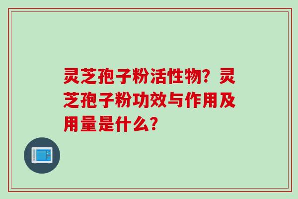 灵芝孢子粉活性物？灵芝孢子粉功效与作用及用量是什么？