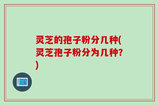 灵芝的孢子粉分几种(灵芝孢子粉分为几种?) 灵芝的孢子粉分几种(灵芝孢子粉分为几种?)