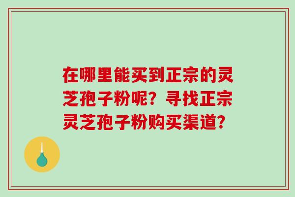 在哪里能买到正宗的灵芝孢子粉呢？寻找正宗灵芝孢子粉购买渠道？