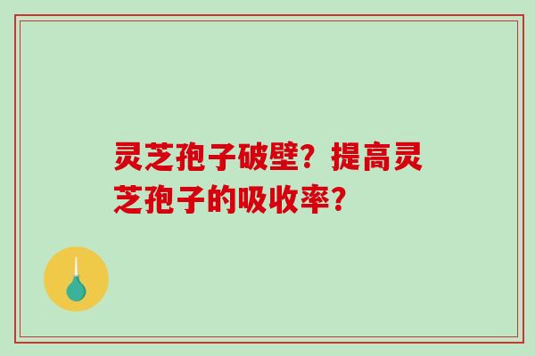 灵芝孢子破壁？提高灵芝孢子的吸收率？