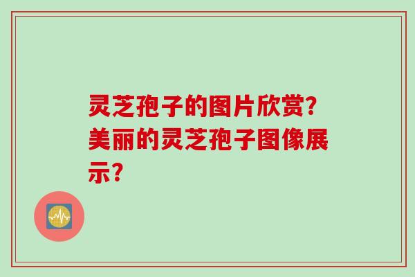灵芝孢子的图片欣赏？美丽的灵芝孢子图像展示？