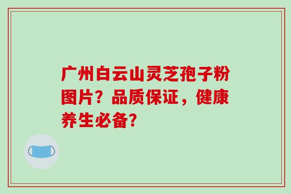 广州白云山灵芝孢子粉图片？品质保证，健康养生必备？