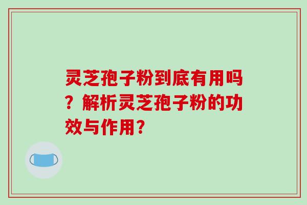 灵芝孢子粉到底有用吗？解析灵芝孢子粉的功效与作用？
