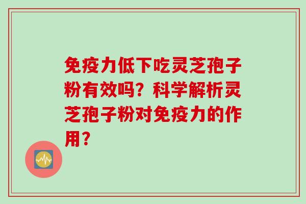 免疫力低下吃灵芝孢子粉有效吗？科学解析灵芝孢子粉对免疫力的作用？