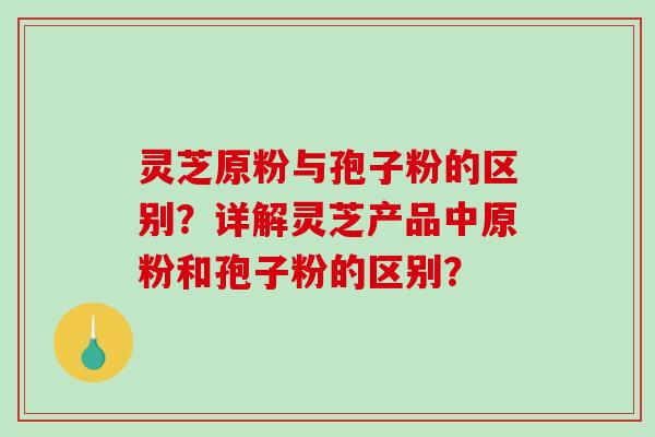 灵芝原粉与孢子粉的区别？详解灵芝产品中原粉和孢子粉的区别？