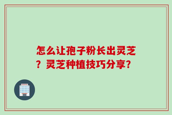 怎么让孢子粉长出灵芝？灵芝种植技巧分享？