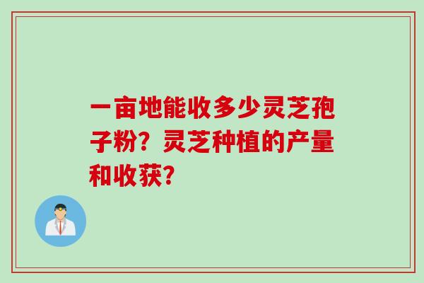 一亩地能收多少灵芝孢子粉？灵芝种植的产量和收获？