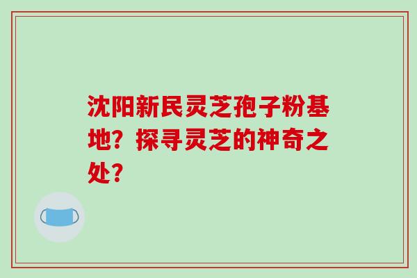沈阳新民灵芝孢子粉基地？探寻灵芝的神奇之处？