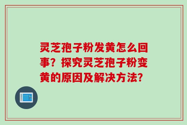 灵芝孢子粉发黄怎么回事？探究灵芝孢子粉变黄的原因及解决方法？