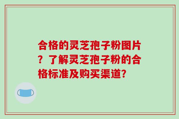 合格的灵芝孢子粉图片？了解灵芝孢子粉的合格标准及购买渠道？