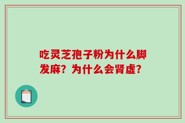 吃灵芝孢子粉为什么脚发麻？为什么会肾虚？
