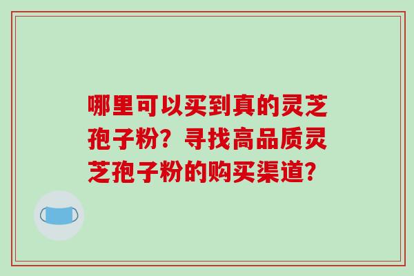 哪里可以买到真的灵芝孢子粉？寻找高品质灵芝孢子粉的购买渠道？