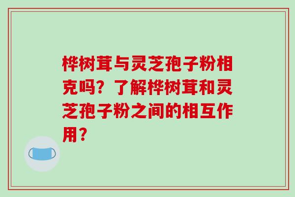 桦树茸与灵芝孢子粉相克吗？了解桦树茸和灵芝孢子粉之间的相互作用？