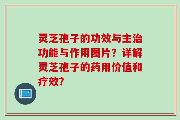 灵芝孢子的功效与主治功能与作用图片？详解灵芝孢子的药用价值和疗效？