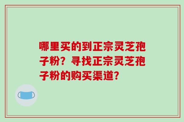 哪里买的到正宗灵芝孢子粉？寻找正宗灵芝孢子粉的购买渠道？