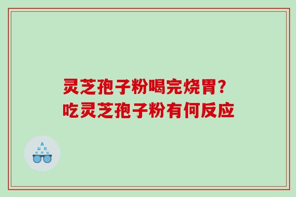 灵芝孢子粉喝完烧胃？吃灵芝孢子粉有何反应