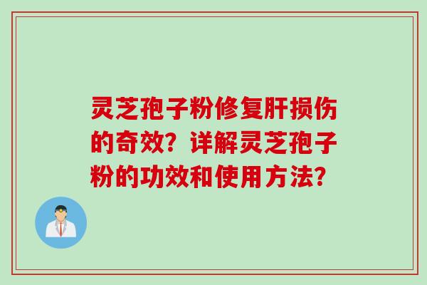 灵芝孢子粉修复肝损伤的奇效？详解灵芝孢子粉的功效和使用方法？