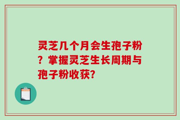 灵芝几个月会生孢子粉？掌握灵芝生长周期与孢子粉收获？