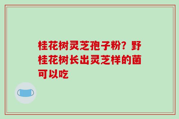 桂花树灵芝孢子粉？野桂花树长出灵芝样的菌可以吃