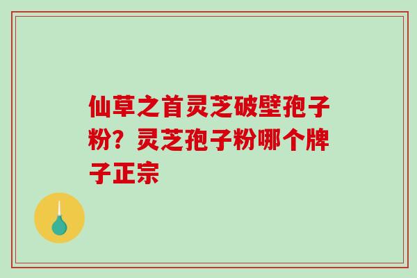 仙草之首灵芝破壁孢子粉？灵芝孢子粉哪个牌子正宗