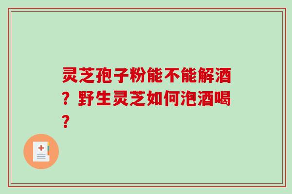 灵芝孢子粉能不能解酒？野生灵芝如何泡酒喝？