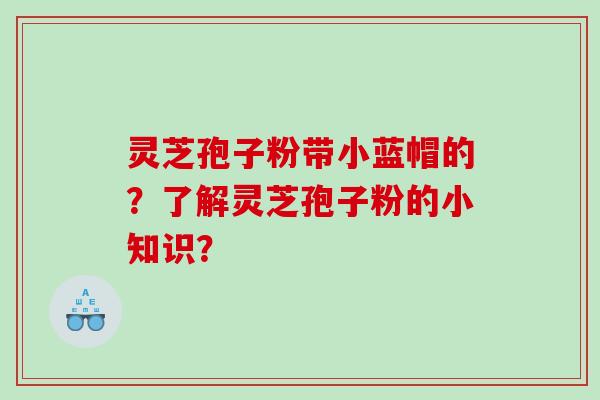 灵芝孢子粉带小蓝帽的？了解灵芝孢子粉的小知识？