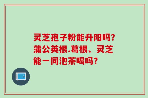 灵芝孢子粉能升阳吗？蒲公英根.葛根、灵芝能一同泡茶喝吗？