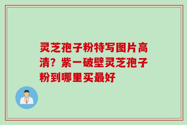 灵芝孢子粉特写图片高清？紫一破壁灵芝孢子粉到哪里买最好