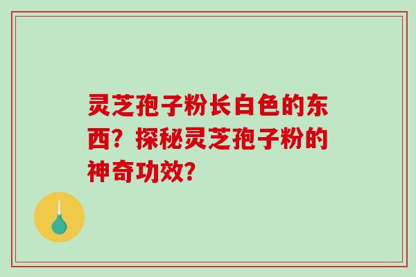 灵芝孢子粉长白色的东西？探秘灵芝孢子粉的神奇功效？