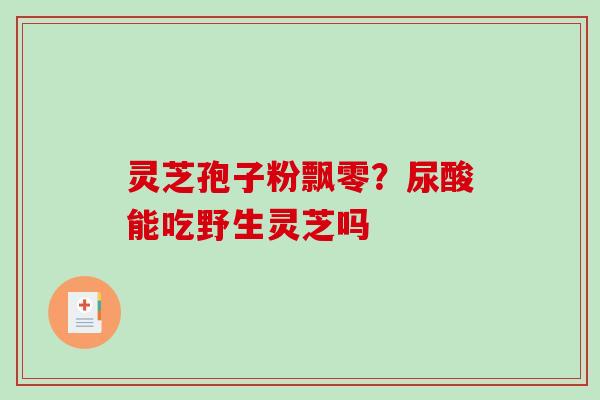 灵芝孢子粉飘零？尿酸能吃野生灵芝吗