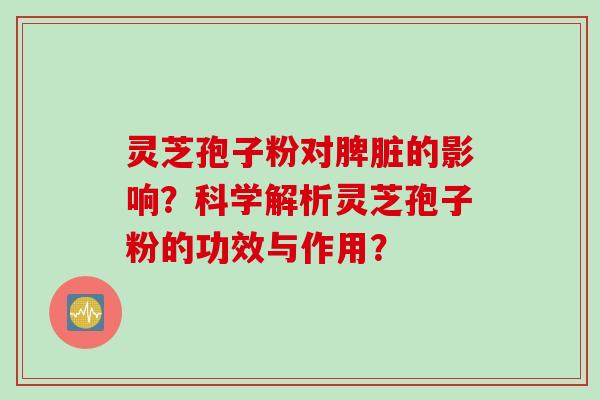 灵芝孢子粉对脾脏的影响？科学解析灵芝孢子粉的功效与作用？