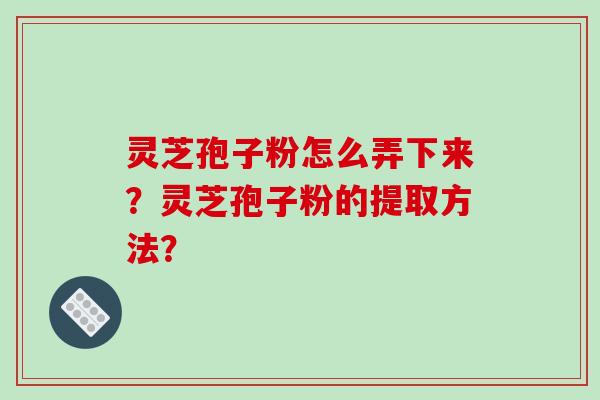 灵芝孢子粉怎么弄下来？灵芝孢子粉的提取方法？