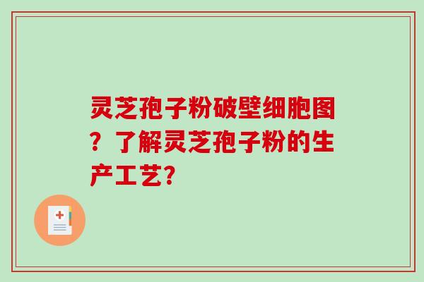 灵芝孢子粉破壁细胞图？了解灵芝孢子粉的生产工艺？
