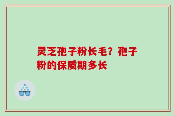 灵芝孢子粉长毛？孢子粉的保质期多长