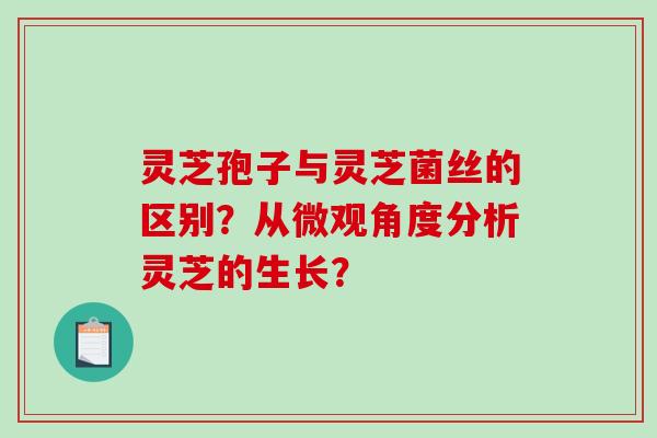灵芝孢子与灵芝菌丝的区别？从微观角度分析灵芝的生长？