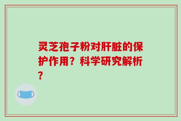 灵芝孢子粉对肝脏的保护作用？科学研究解析？