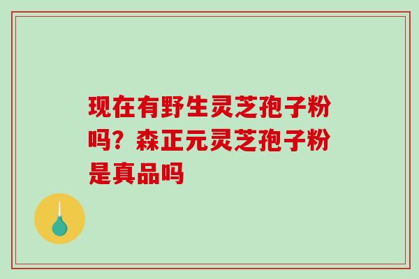 现在有野生灵芝孢子粉吗？森正元灵芝孢子粉是真品吗