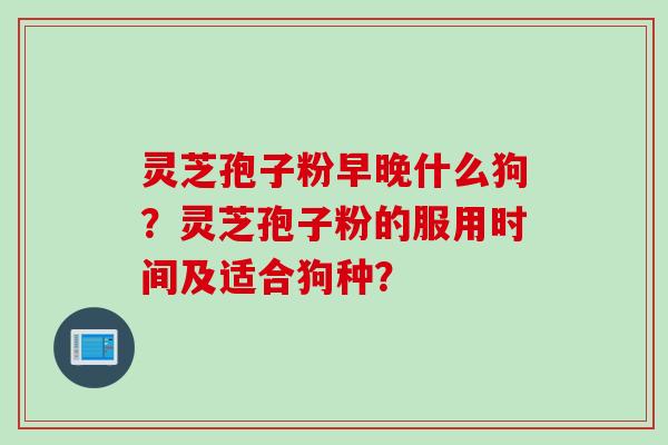 灵芝孢子粉早晚什么狗？灵芝孢子粉的服用时间及适合狗种？