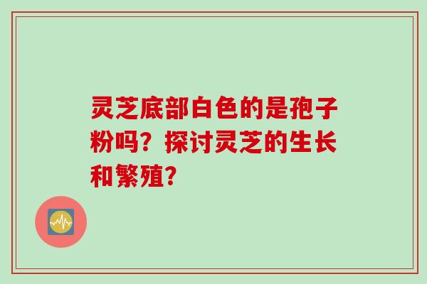 灵芝底部白色的是孢子粉吗？探讨灵芝的生长和繁殖？