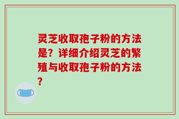 灵芝收取孢子粉的方法是？详细介绍灵芝的繁殖与收取孢子粉的方法？