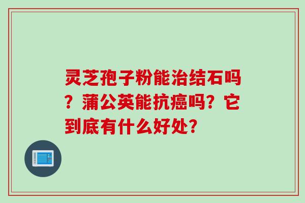 灵芝孢子粉能治结石吗？蒲公英能抗癌吗？它到底有什么好处？