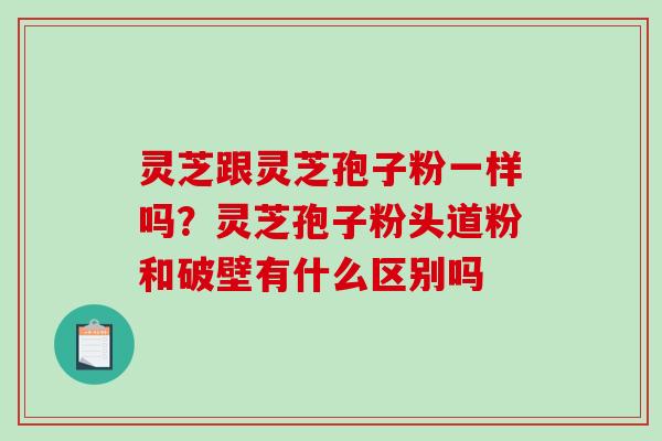 灵芝跟灵芝孢子粉一样吗？灵芝孢子粉头道粉和破壁有什么区别吗